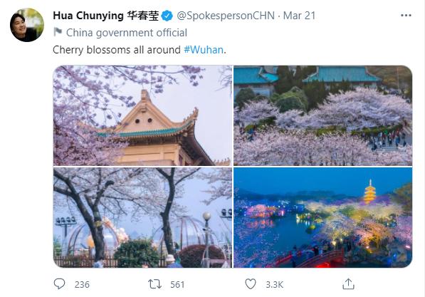 华春莹社交账号向海外推介武汉樱花，用了这4张照片……