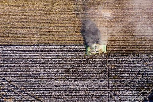 新疆棉花有话要说