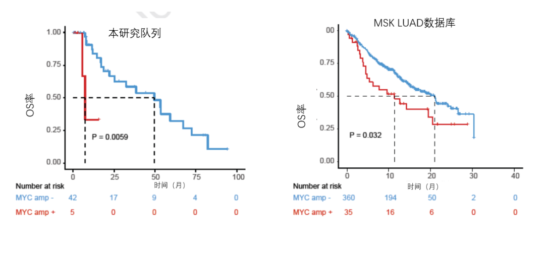 肺癌转移的时间-空间模式以及肺癌转移的潜在分子机制