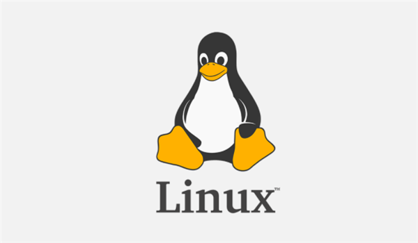 Linux 5.10 LTS维护期限将持续到2026年年底-第1张图片-IT新视野