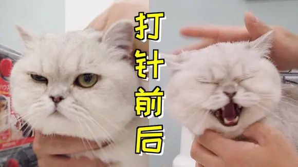 @ Le Shan's person, we make vaccine together, ~ of seedling of seedling of seedling of seedling of a seedling