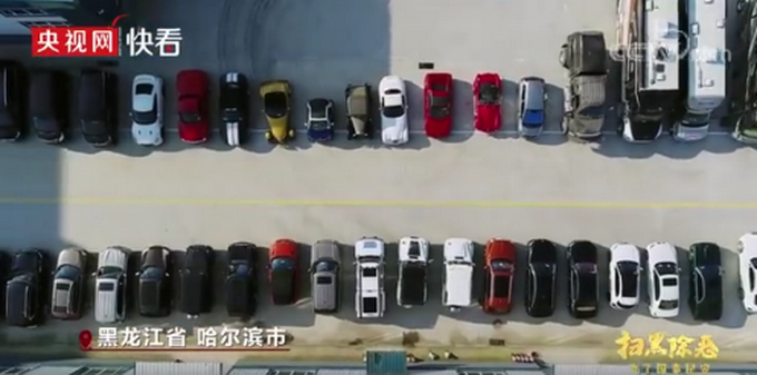 哈尔滨“电老虎”拥百辆豪车、房产69套，黑恶势