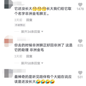 四川一家长带孩子看非洲狮，结果居然是只金毛狗！动物园回应：这是老板自家养的，绝无虚假宣传