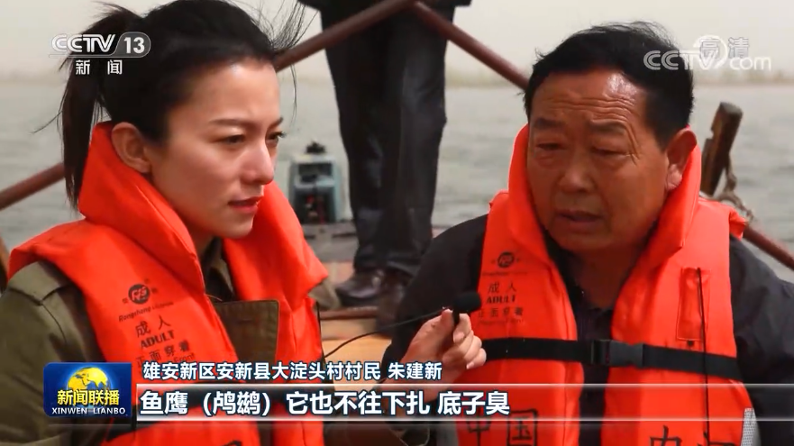 雄安新区建设按下“快进键”“未来之城”的轮