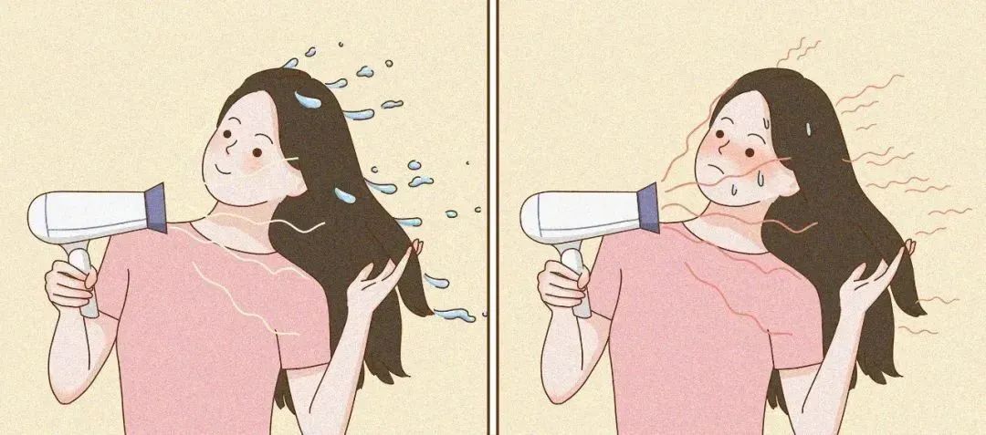 几百上千的吹风机，真的值得买吗？