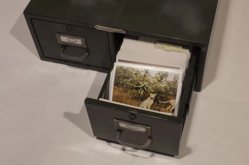 上海双年展“一个展览”：呈现全球50多位艺术家作品