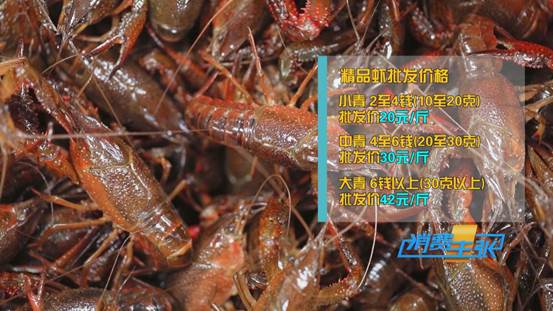 潜江小龙虾新鲜上市！价格上涨20%依然走俏→