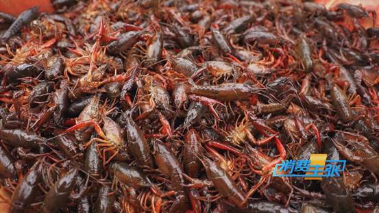 潜江小龙虾新鲜上市！价格上涨20%依然走俏→