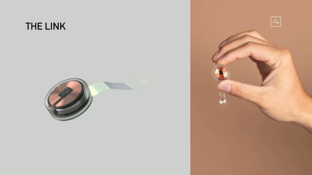 马斯克硬核黑科技！这只猴子大脑被“改造”，能用意念玩游戏，网友：比我玩得好