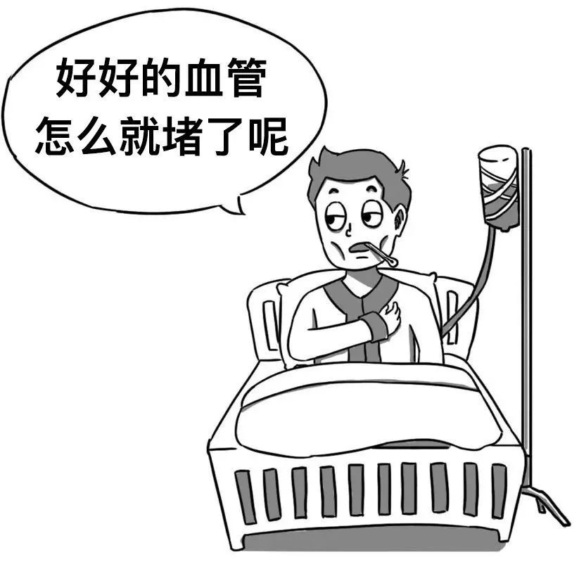 你的血管，就是這樣堵的