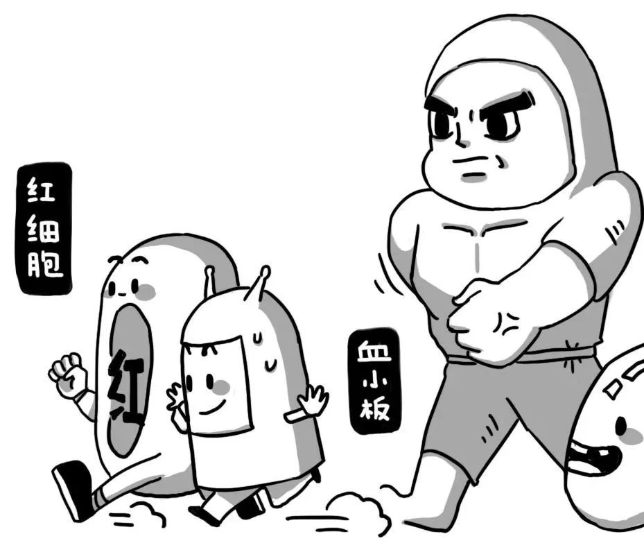 你的血管，就是這樣堵的