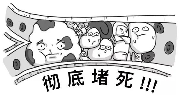 你的血管，就是這樣堵的