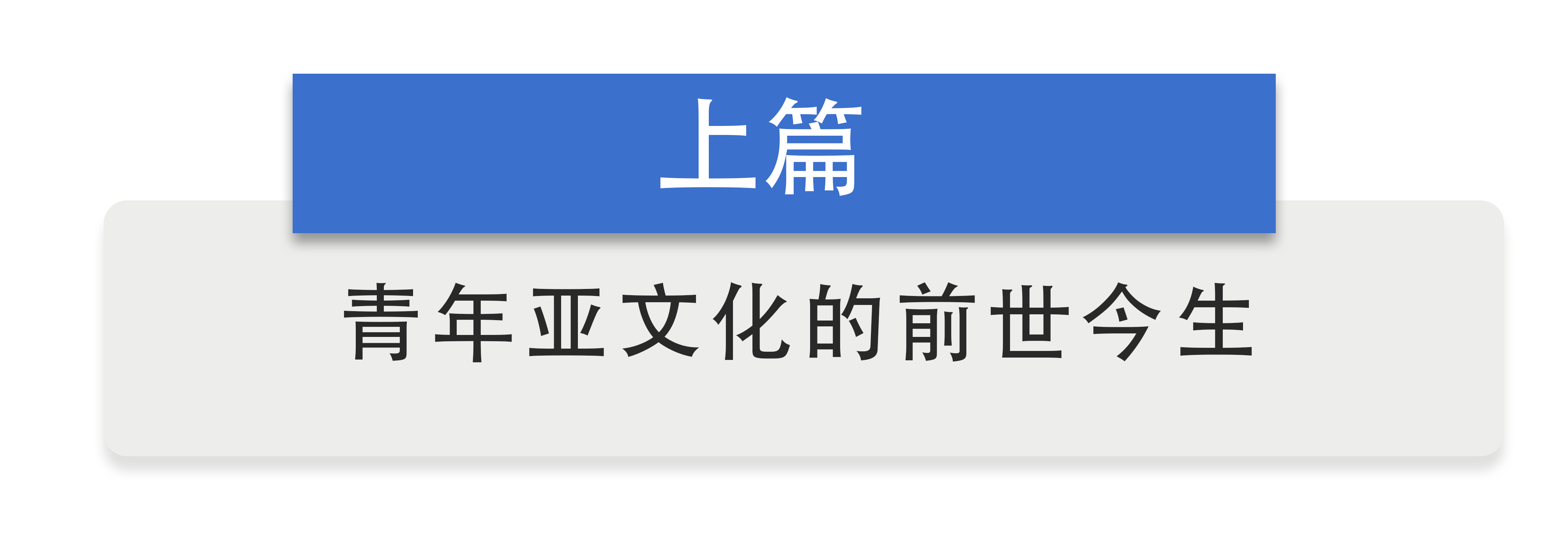 深度剖析国内亚文化圈子的发展状况