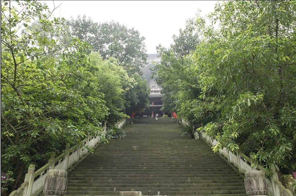 观灯、看恐龙、赏花摘果，“五一”来自贡狂欢吧！