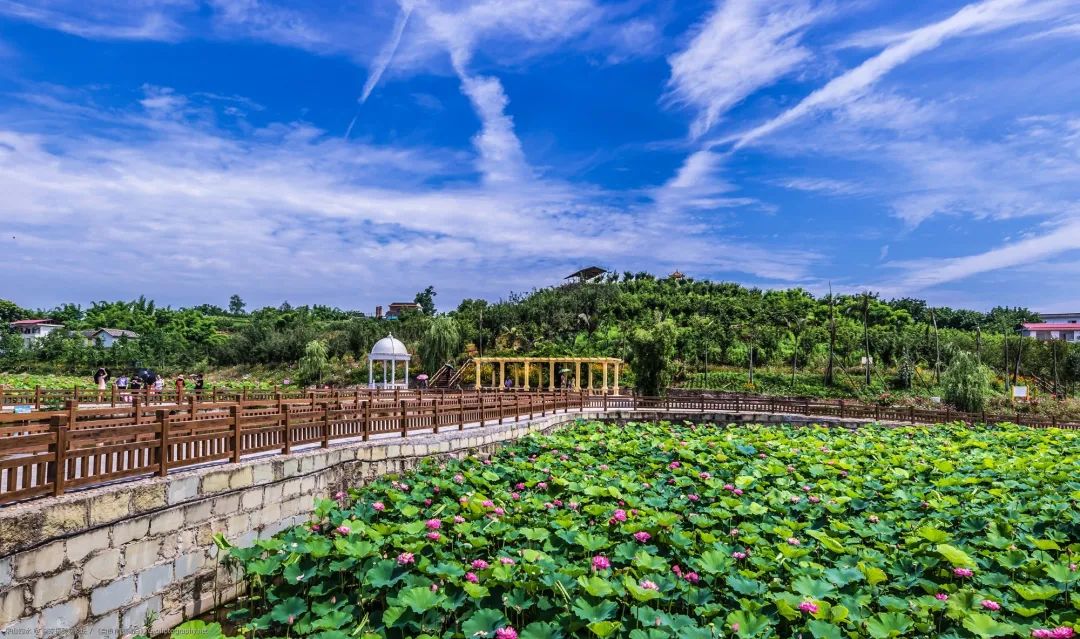 观灯、看恐龙、赏花摘果，“五一”来自贡狂欢吧！