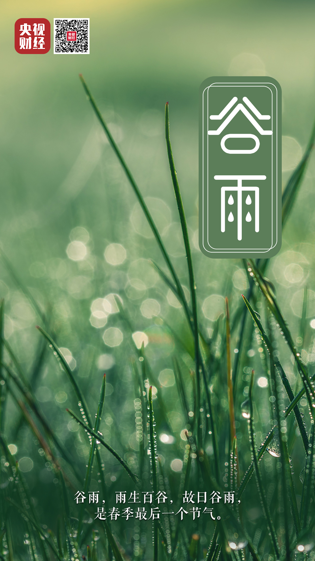 今日谷雨！關(guān)于谷雨，你了解多少？