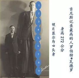 九頭身龔俊 是否是人間精品 壹讀 Mdeditor