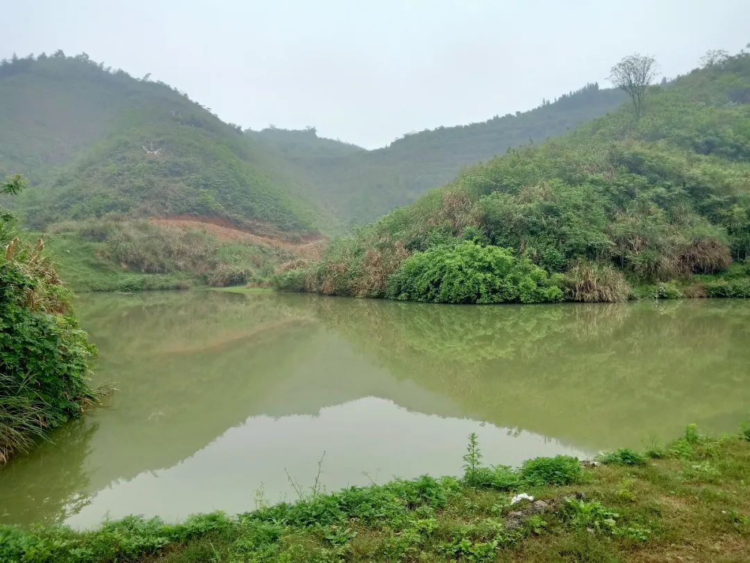 两姐弟沉入塘底，一个已没了呼吸！63岁老农累瘫在地，全救活了