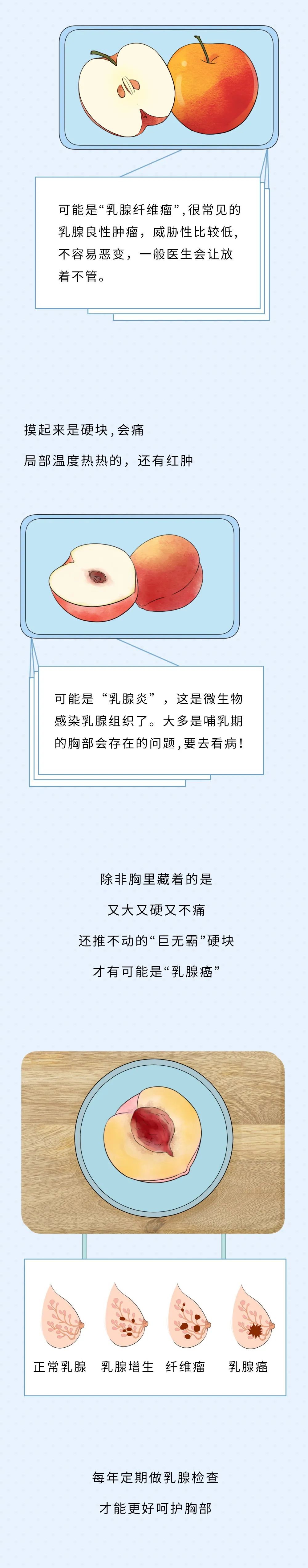 漫畫科普：關於“蜜桃”的一些小秘密