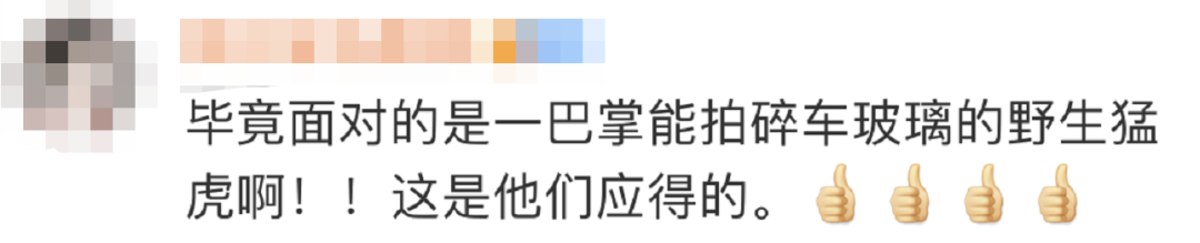 “虎口救人”的大哥火了！本人回應(yīng)