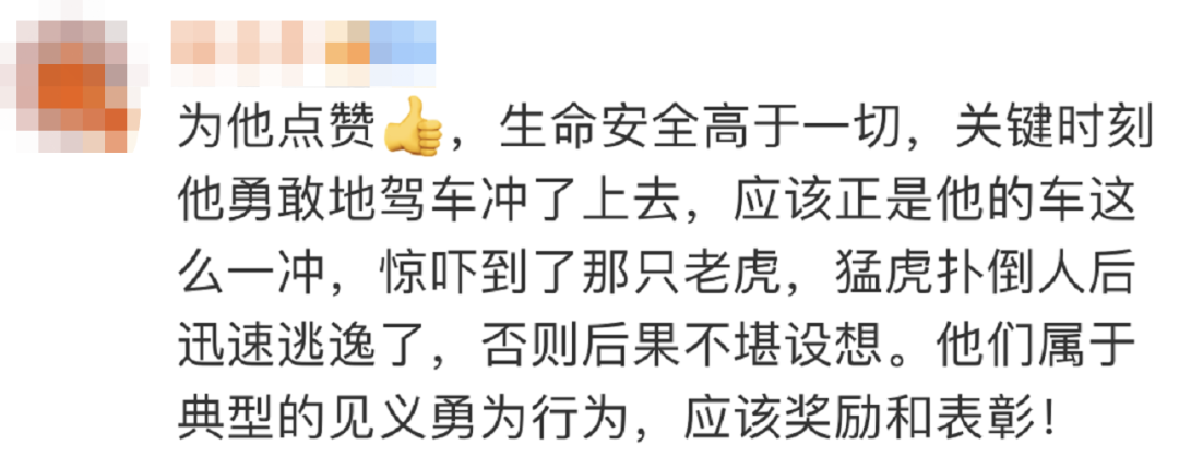 “虎口救人”的大哥火了！本人回應(yīng)