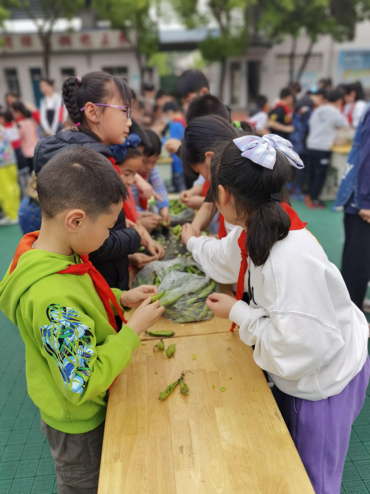 青山区钢城二小好不好?举办劳动技能大赛(图5)