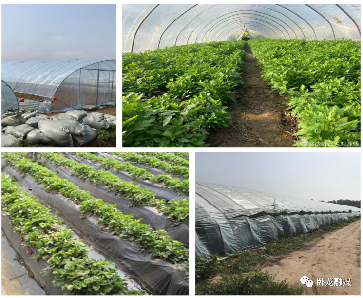 �׽����������Ļ����ν����湥�ԡ�½Ӫ��