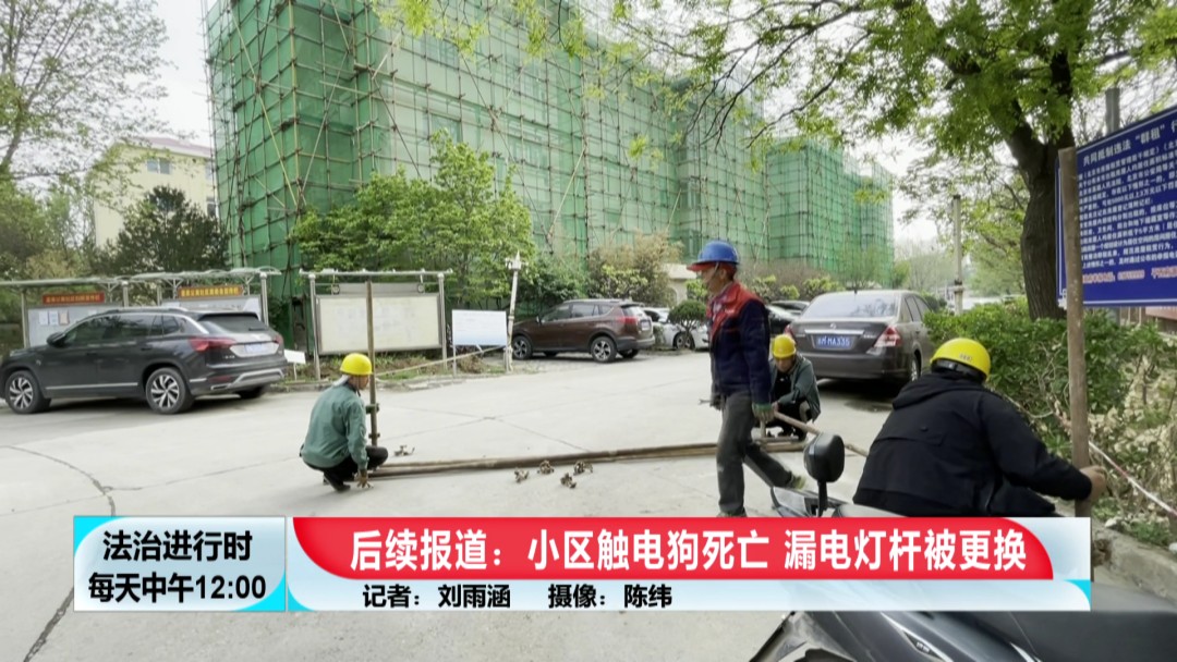 北京奇案：小狗在小区内触电身亡，居民要求电改却遭波折-第11张图片-大千世界