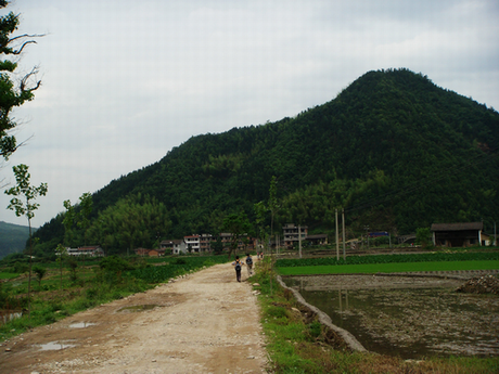 学党史鲜为人知的马头岭阻击战