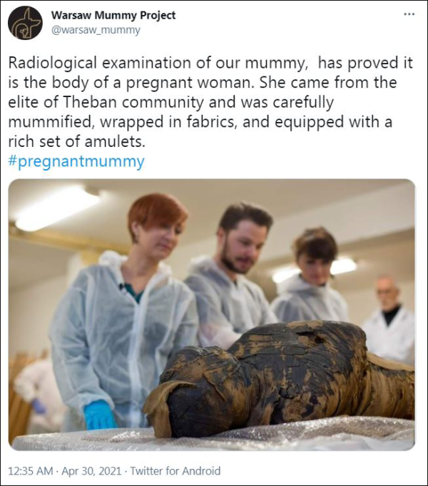 波蘭研究人員宣佈發現世界首具懷孕木乃伊