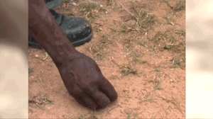 п֮ڣԻԮǿ·͹ġֳҰġ