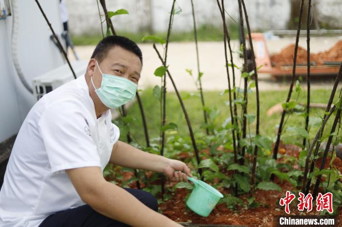 通讯：印尼中资电站里的“开心农场”