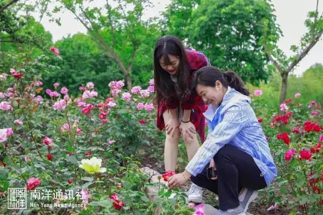 来，介绍一下：这是交大人心中的女神！