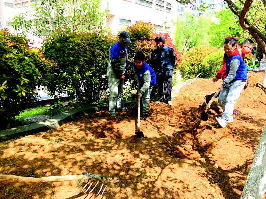 济南市市中区育秀小学怎么样?居家劳动浸成长(图3)