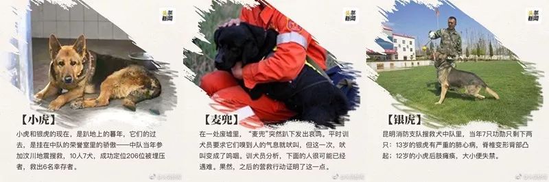 13年了，108个震后“罗汉娃”长大了……