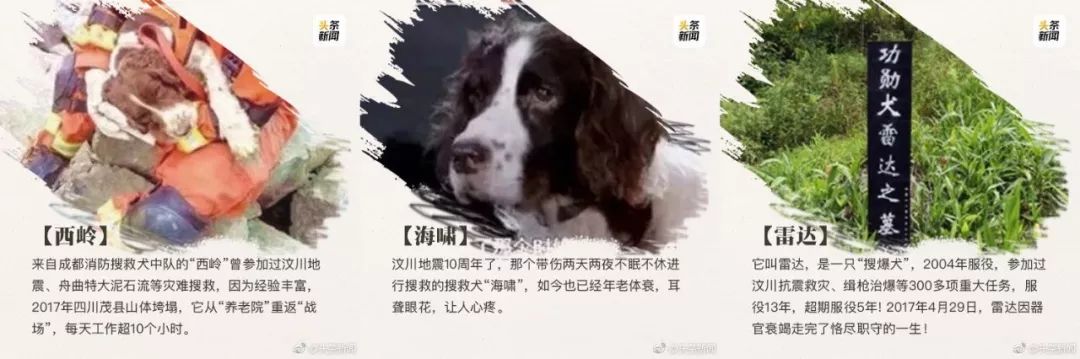 13年了，108个震后“罗汉娃”长大了……