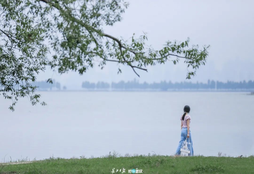 武汉女摄影师，因为一个湖，爱上一座城