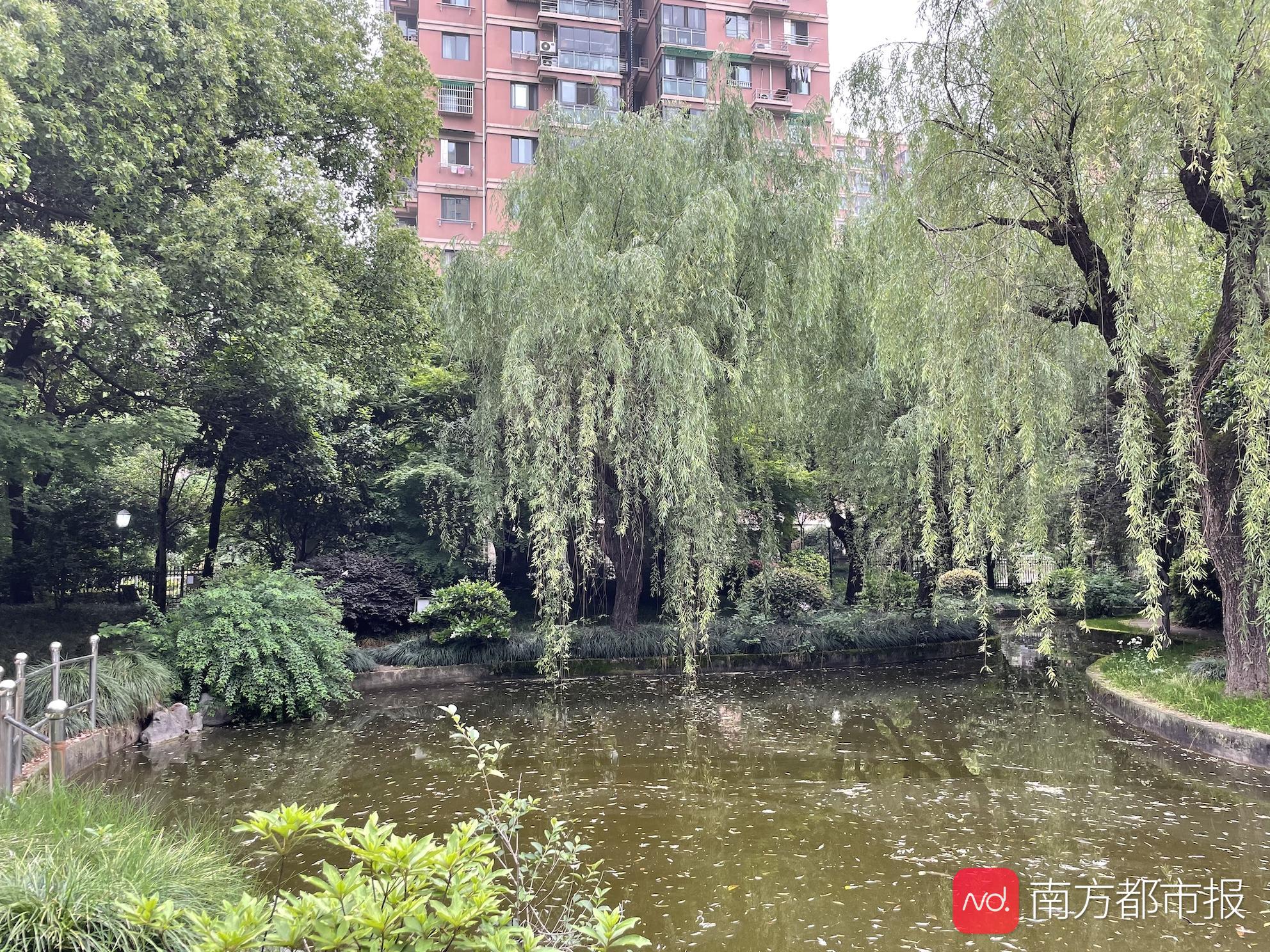 杭州杀妻案开庭！涉案房门封条仍在，中介称小区租金有所恢复