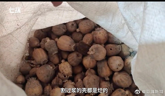 罂粟壳黑市多流向小吃市场，长期使用其提取物的汤料有这些危害