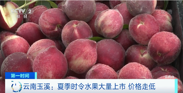 荔枝价格“大跳水”之后,又一“时令水果”价格腰斩 荔枝价格“大跳水”之后,又一“时令水果”价格腰斩