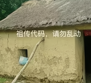 我寫代碼時的小倔強