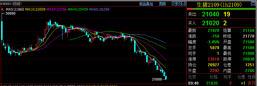 生猪期货主力合约跌超3% 续创上市来新低至21000元/吨