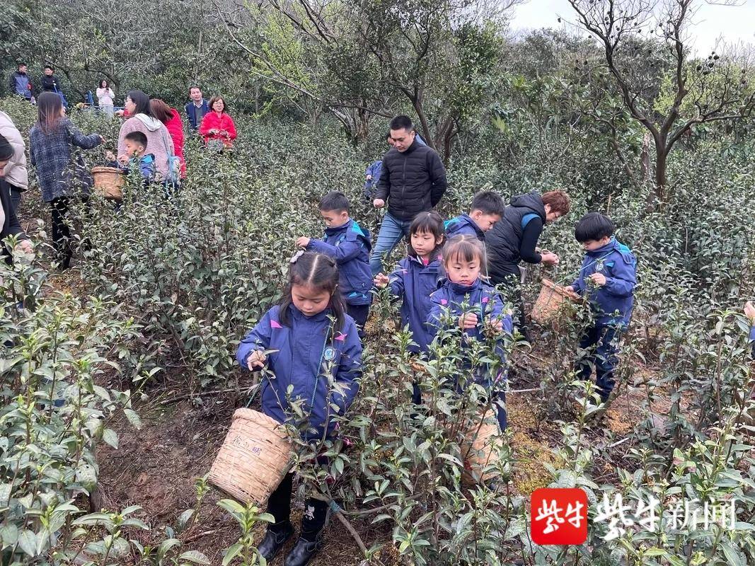 华师大苏州湾实验小学怎么样?家校社三位一体(图8)