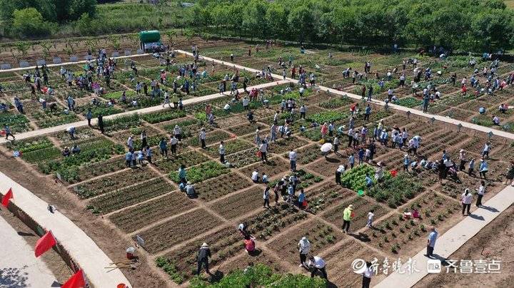 东营区第一中学举行劳动实践研学基地启动仪式(图4)