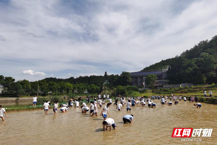 长沙雅礼十五中学韶山研学!探寻伟人故里(图3)