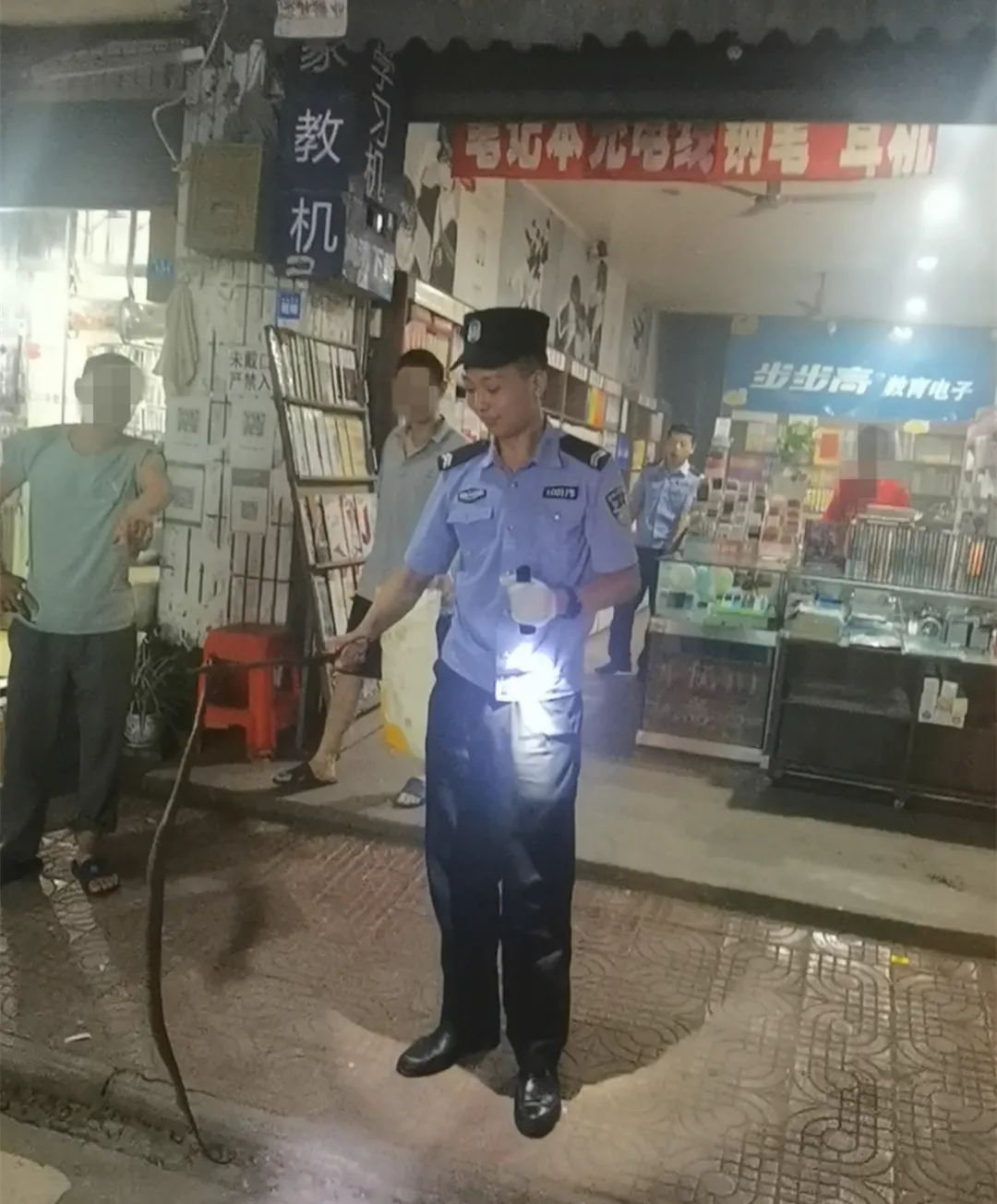 毒蛇半夜溜进家中“乘凉”，蜀黍紧急出动化险为夷