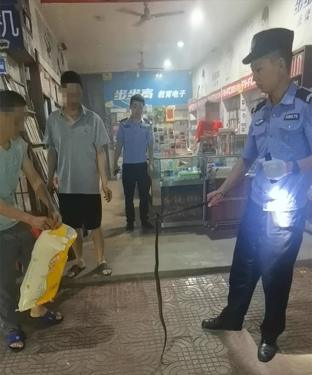 毒蛇半夜溜进家中“乘凉”，蜀黍紧急出动化险为夷