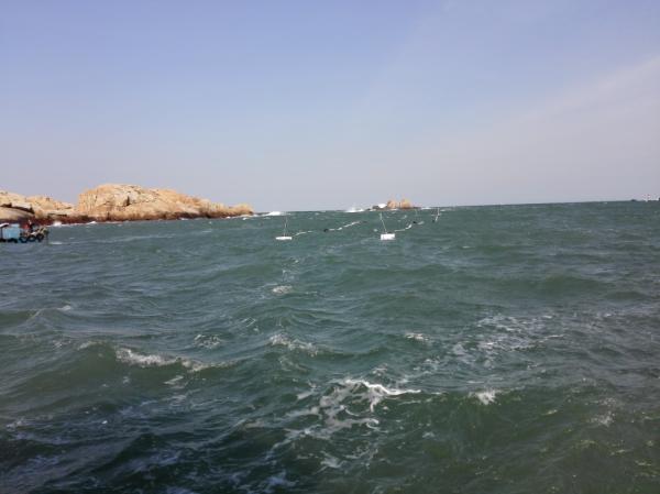 30��ֺ�ˮ����1ǧ���ˣ��Ϻ���ѧ�ҳɹ���չǧ�˼���ˮ��������