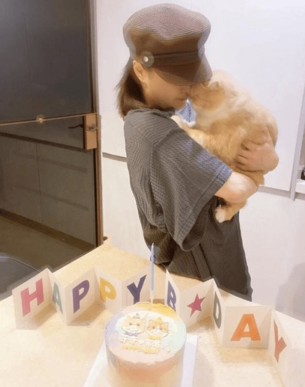 阿娇瘦身成功晒美照 怀抱宠物猫对镜甜笑一脸宠