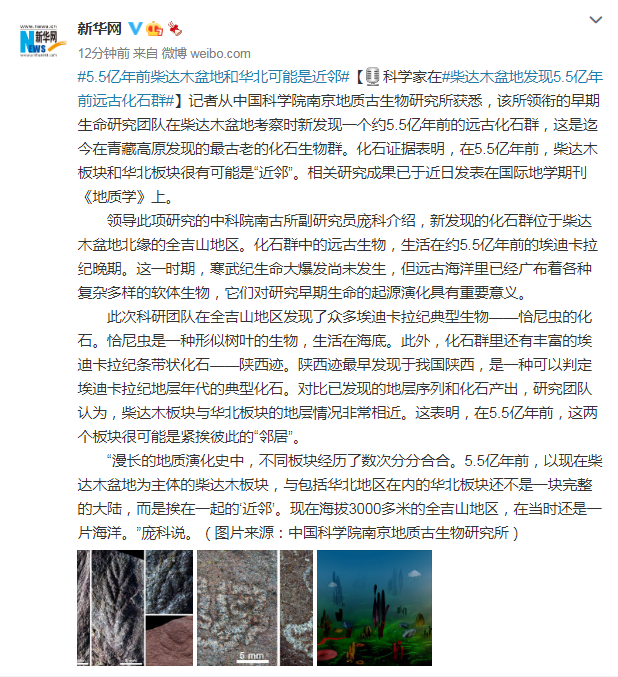 ѧڲľط5.5ǰԶŻʯȺ